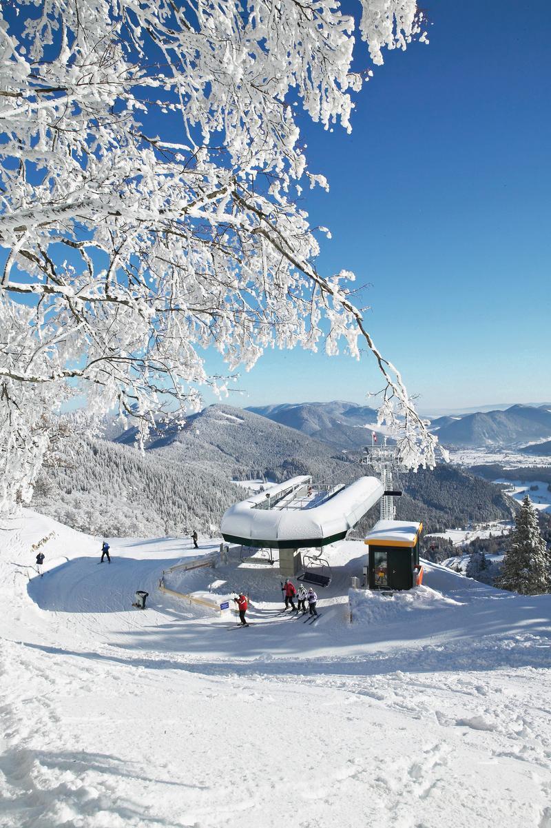 Hotel Schneeberghof Puchberg am Schneeberg Exteriér fotografie